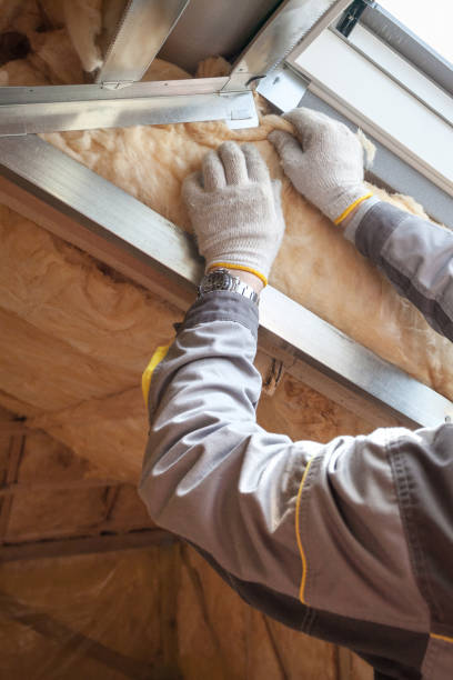 Best Geographic-Specific Insulation Services in Bacliff, TX