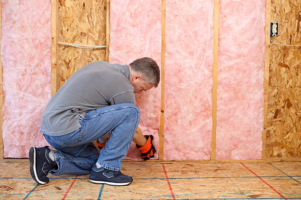 Best Eco-Friendly Insulation in Bacliff, TX