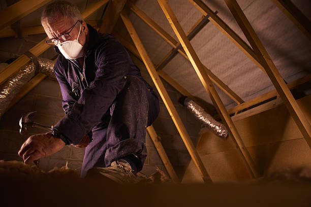 Best Cellulose Insulation in Bacliff, TX